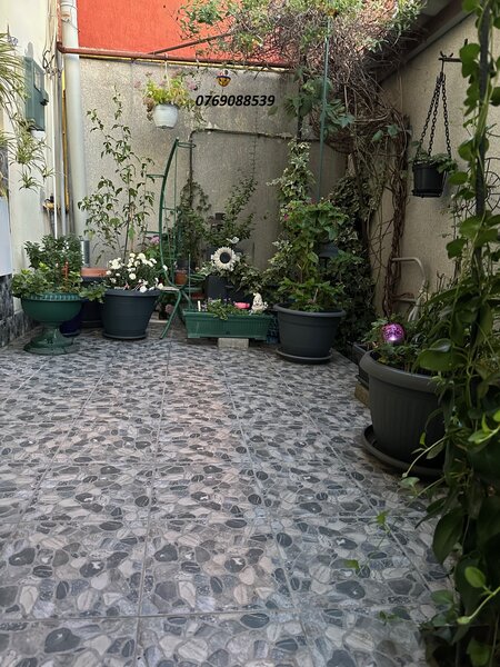 Rahova - Salaj - Parcul Humulesti