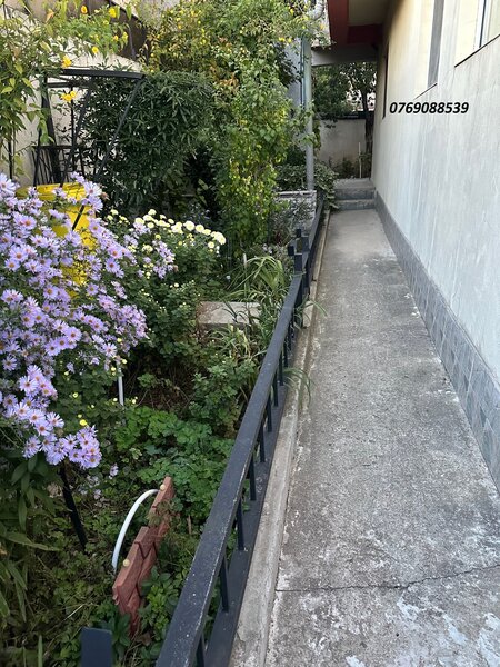 Rahova - Salaj - Parcul Humulesti